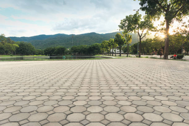 Best Local Driveway Pavers  in Mosinee, WI